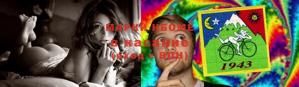стаф Горнозаводск