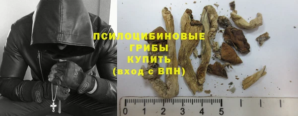 не бодяженный Вяземский