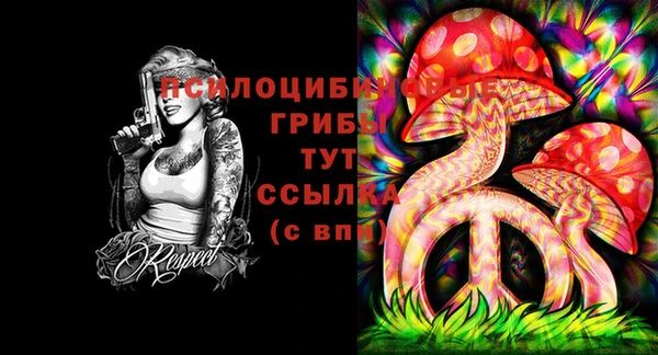 твердый Вязьма