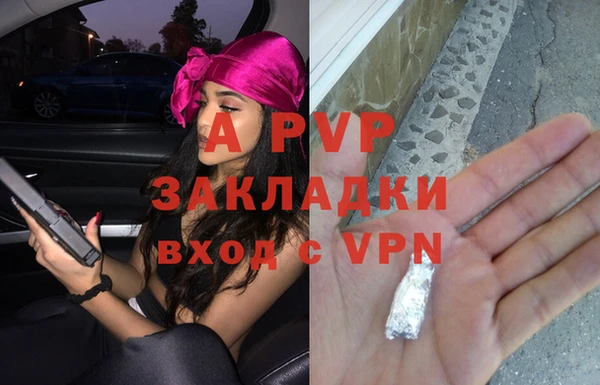 стаф Горнозаводск