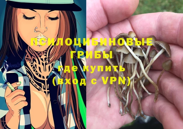 твердый Вязьма