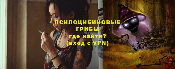 не бодяженный Вяземский